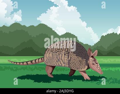 Wild armadillo nel campo Illustrazione Vettoriale