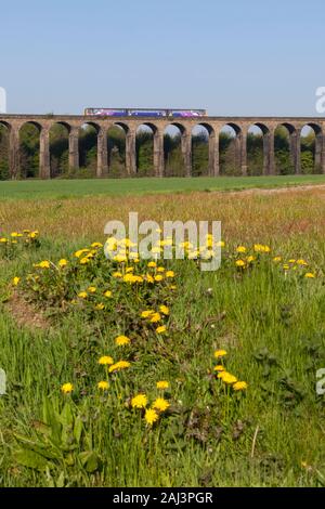 Arriva ferroviaria settentrionale classe 144 treno pacer attraversando Penistone viadotto con un Sheffield - Huddersfield treno Foto Stock