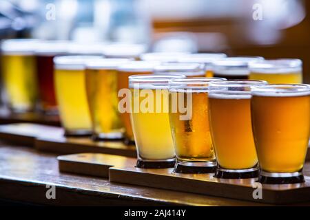 Volo di craft di quattro diverse birre bicchieri sul vassoio di legno durante una sessione di degustazione di close-up di messa a fuoco selettiva con spazio copia, alcol bevanda fredda Foto Stock