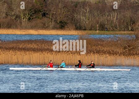 Quattro ragazze adolescenti del Club di canottaggio Killarney in barca da corsa sul lago Lough Leane, Killarney National Park, County Kerry, Irlanda Foto Stock