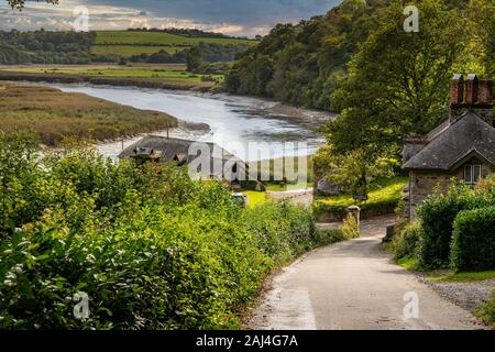 Fiume Tamar nel Devon fluisce oltre il vecchio porto e banchina Cotehele Foto Stock