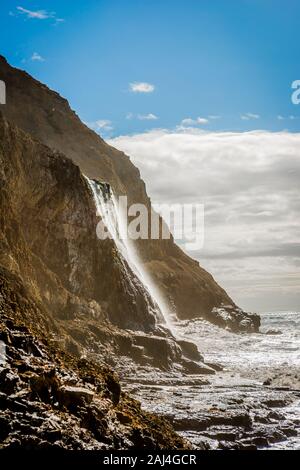 Giornata di sole a Alamere cade nel punto Reyes National Seashore, CALIFORNIA, STATI UNITI D'AMERICA Foto Stock