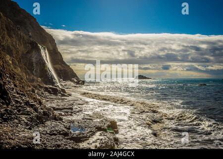 Giornata di sole a Alamere cade nel punto Reyes National Seashore, CALIFORNIA, STATI UNITI D'AMERICA Foto Stock