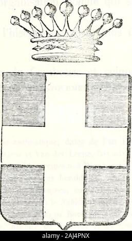 Le nobiliaire universel ou recueil général des généalogies historiques et vérdiques des Maisons nobles de l'Europe . iy E ? • ?, 1. ! CAMBRÉSIS ET BELGIQUE Comtes, Baroni et CnEVALiERS de Bousies; Vicomtes de Rouvekov; BaROXS de AiLLERCUEMlX ; CoMTES DE FaUQUEMBERG j Seigneurs de Saint-Symphorien, Chanvan, FEnuiiaiEs, Le Petit, I1outain-le-Mont, Villiers-ClIEMIX, RoUVEROV, ïviîERCIIAMPS,FaYON, VeRTAING FeLUY, FaMILLEUREUX, RgmERIES; ESCARMAIXG, Gosselies, Pont, Dudzelles, Petit-Roeclx, ecc. AitMES : azzurra, ù la croix dargent. - Suppouts : deux lions supportant deux bannièresaux armes de /ecw Foto Stock