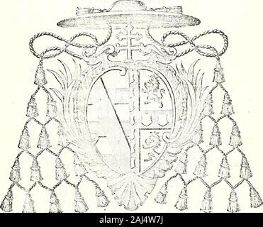 Le nobiliaire universel ou recueil général des généalogies historiques et vérdiques des Maisons nobles de l'Europe . lic;e lideituitioneopeiuniqu:e muore in un fratribus nostristona, marique 4)eo largirnte) tiuut participem in Domino faeinuis, etonuii nieliori modo esse volunius. Tnecipientes univoisis et singulis dicloe domus nostroe fratribusipiacmiique auctorilate, dignitato, olVicioque fungentijjus, pnesenlibus, et futuris in virtute sanct;eolodi.utia nr foutra pr:eseute^ uostras coiiccssionis, deelaiationis, et participationis litteras^aliquatenus facre, vel veuire piesuinant, sed eas, slude Foto Stock