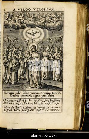 Paradisus sponsi et sponsae in quo messis myrrhae et aromatum ex instrumentis ac mysterijs passionis Christi colligenda, vt ei commoriamur : et, Pancarpium Marianum, septemplici titulorum serie distinctum, vt in B Virginis odorem curramus, et formetur Christus in nobis . &Lt; qui. Foto Stock