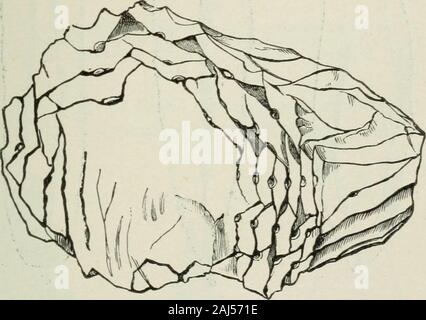 Antropologia; una introduzione allo studio dell uomo e della civiltà . hority, ed è prevista sul tavolo duranteil seduta del Parlamento o della Royal Society, mentreil club è stata generalmente un arma, il martello hasbeen generalmente un attrezzo. La sua storia inizia conla lisci ciottoli pesanti tenuto in mano, tali asAfrican fabbri ferrai per questo giorno forgiare i loro con ferro, onanother pietra liscia come incudine. È stato un grande miglioramento-mento per fissare il martello di pietra su una maniglia ^ questa è stata^ VIII.] ARTI DELLA VITA. 185 fatto in tempi molto antichi, come si vede dalla pietra headsbeing scanalata o forati su scopo (s^ Foto Stock