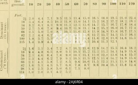 Il White pine (Pinus strobus Linnaeus) . 20 40 60 80 100 120 100 160 180 200 flCE di D/SK Fig. 35.-Diagr;ini che mostra il diametro di growlh ojiprcbstnl alberi a varie altezze da terra in Wiscoosin. 11: il bianco rosa dei Tabi.k V.-lirowlli di diamelir metà dcim-Hnlioit urea a rariouK lieiyhln/rtiin ijruitnd stagno-(outiiiuud. (3) AVKKAr;E KUI; PKNNSVt.Vania. "Hanii- I&lt;r accesa Kniwtli lliiehtnf Nfriiitn Inini IO HO^riiiiiiil. 10 DIAUKTKU HKCTIOil IIP, IN INCnKK, A AOR (VKARS) "P 70 sii no ! Lool tinr.d i:iii im :," im i;. II I Ml li)o suo rj.4i j:i.o, I;".!ho 10. Ho acceso. II ?-0. (T IH. 4Io 19. Malato - Foto Stock