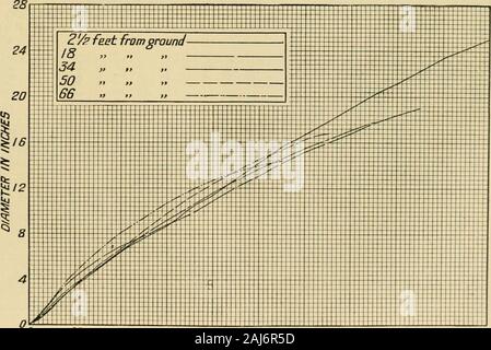 Il White pine (Pinus strobus Linnaeus) . ZO 40 60 80 100 /20 140 160 180 ZOO ETÀ DEL DISCO Fio. :!4.-diagramma che mostra la crescita di diametro di ilominaut treus a varioiia hri^^hts dal terreno nel Wiacoiidin.. 20 40 60 80 100 120 100 160 180 200 flCE di D/SK Fig. 35.-Diagr;ini che mostra il diametro di growlh ojiprcbstnl alberi a varie altezze da terra in Wiscoosin. 11: il bianco rosa dei Tabi.k V.-lirowlli di diamelir metà dcim-Hnlioit urea a rariouK lieiyhln/rtiin ijruitnd stagno-(outiiiuud. (3) AVKKAr;E KUI; PKNNSVt.Vania. "Hanii- I&lt;r accesa Kniwtli lliiehtnf Nfriiitn Inini IO HO^riiiiiiil. 10 DIAUKTKU IIP H Foto Stock