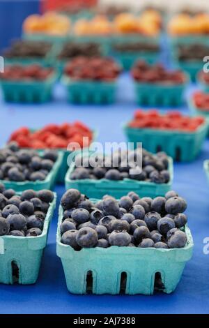 Mirtilli americani, mirtilli e lamponi in box carta contenitori alimentari sul mercato degli agricoltori Foto Stock