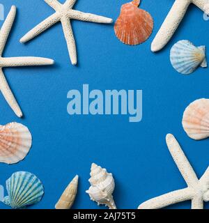 Colorful summer marine decoration. Shellfish and starfish on blue background Foto Stock