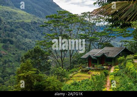 Agriturismo sulle colline dello Sri Lanka Foto Stock