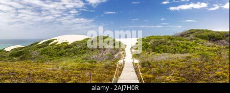 Panorama di un paesaggio con una passerella che conduce alla famosa dune di sabbia (con vegetazione fynbos) di De Hoop Riserva Naturale, Sud Africa Foto Stock