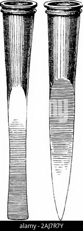 Una guida per l'antichità dell'età del bronzo nel dipartimento della British e antichità medievali . uliar forma (fig. 132);falcetti (come in fig. 67, Taplow) ; scalpelli (fig. 133) ; sgorbie : socketedhammers ; seghe ; pesce-ganci (fig. IBi); cavallo-bit ; navi anddishes ; rivetti e chiodi ; pinzette e aghi ; bracciali andbracelets (piene e vuote) ; finger-Anelli Ciondoli ; i pulsanti ; ;capelli lunghi-pin (molto comune) ; e spille di sicurezza di vario-pintypes (rari). L'oro è raramente si è riunito con, e poi onlj nel formof piccoli oggetti come perline, orecchini, e iinger-ring ; ma stagno lago svizzero-ABITARE Foto Stock