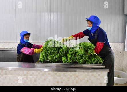 (200103) -- LIUZHOU, gen. 3, 2020 (Xinhua) -- Foto scattata il 9 luglio 2019 mostra i lavoratori lungo di pulizia fagioli per rendere fiume lumaca a base di noodle di riso in una fabbrica in Liuzhou, sud della Cina di Guangxi Zhuang Regione autonoma. La combinazione di cibi tradizionali materiali di Han persone con Miao e Dong gruppi etnici, fiume lumaca spaghetti di riso, o 'Luosifen' in cinese, è un piatto di spaghetti di riso bollito con decapati germogli di bambù, essiccato rapa, verdure fresche e noccioline nel fiume speziate zuppa di lumaca. La specialità, la cui creazione è stato elencato come parte del Guangxi il patrimonio culturale immateriale in 2008, ha beco Foto Stock