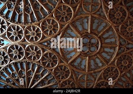 Particolare del soffitto di Lello & Irmao Bookstore, famosa libreria liberty Foto Stock