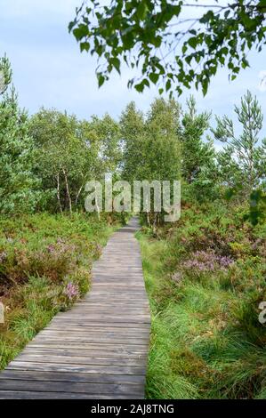 Thursley Riserva Naturale Nazionale, SSSI, Surrey Foto Stock