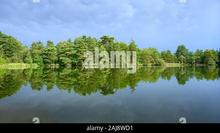 Thursley Riserva Naturale Nazionale, SSSI, Surrey Foto Stock