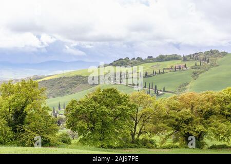 Paesaggio rurale vista con una tortuosa strada su una collina Foto Stock