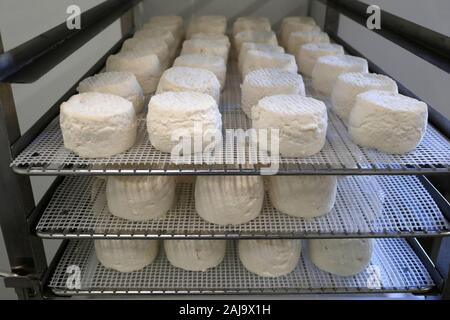 Azienda agricola tradizionale nelle Alpi francesi Foto Stock