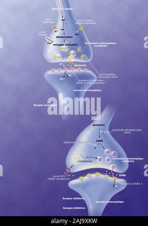 Epilessia Foto Stock