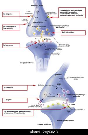 Epilessia e trattamenti Foto Stock