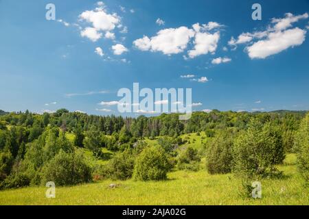 Slovacchia - Il paesaggio di Silicka planina nel parco nazionale Slovensky Kras. Foto Stock