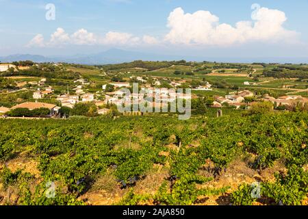 Vigneti vicino a Chateauneuf du Pape, Provenza, Francia, uno dei migliori vini con denominazione in tutto il mondo Foto Stock