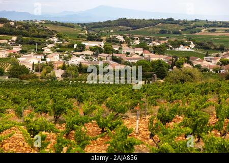 Vigneti vicino a Chateauneuf du Pape, Provenza, Francia, uno dei migliori vini con denominazione in tutto il mondo Foto Stock