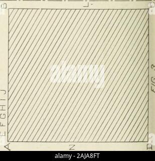 Dell'enciclopedia di ingegneria meccanica; un riferimento generale lavoro caporedattore Howard Monroe Raymond assistita da un corpo di ingegneri meccanici, tecnici e progettisti della più alta levatura professionale . fl -   1 (LO 2  )&LT; L J L L.C n -- -. &Gt;-y:&GT;^&GT; y^x ^m ^ ^^ v ^: k^/T/S x&lt;xx o Q. o- q: CJ H D Foto Stock
