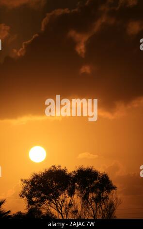L'immagine verticale del sole brillante impostazione su palme Foto Stock
