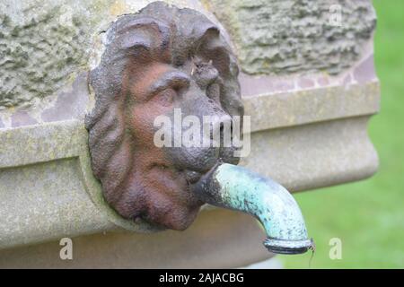 Lions Head becco di acqua potabile nella fontana al Bamburgh, Northumberland, Regno Unito Foto Stock