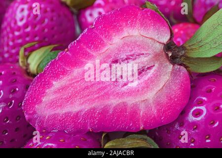 Surreal Pop Art di fragole in Stile Sezione in rosa shocking colorato sulla pila di frutti interi Foto Stock