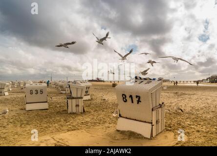 Gabbiani in San Pietro Ording Foto Stock