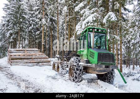 I lavori forestali in inverno Foto Stock