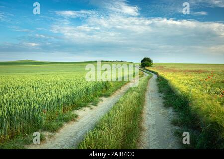 Un paese lungo la strada attraverso campi con il verde ed il giallo grano, nuvole e cielo Foto Stock