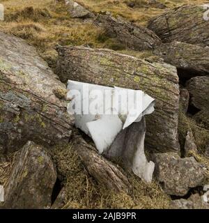 Auchope Cairn e riparo dal vento, punto di vista sulla salita Cheviot collina nel cuore del Northumberland, e resti di un aereo schiantato. Foto Stock