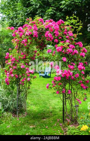 Un prato sedia sul prato in un giardino di rose. Foto Stock