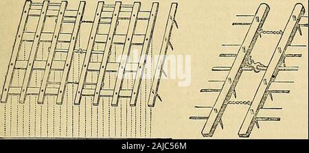 I giardinieri' cronaca e agricola Gazette . t dell'attrezzo e la distanzacompresa tra di loro che si allarga verso la fine del themachine. Infatti, se è utilizzato per ridurre un roughsurface, se non vi è alcuna irregolarità nel dis-tanza dei denti, essi dovrebbero essere più vicino verso sullaparte posteriore parte della macchina; per le zolle di terra verrà parzialmente rotto dalla parte anteriore dei denti e thusbe in modo più efficiente ha agito da quelli dietro. Esso isevidently errato per avere i denti più vicina wherethe terra è più burrascose e più lontano al di là dove essa isfinest. La migliore forma di Harrow è il rhom-boi Foto Stock