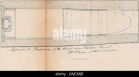 Relazione del Consiglio di amministrazione di funzionari designati in applicazione dell'atto di congresso approvato il 6 giugno 1872, allo scopo di selezionare una culatta-sistema di moschetti e carabine del servizio militare, insieme con il loro rapporto al momento oggetto di cazzuola-baionette; . Foto Stock