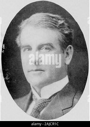 Empire State notabili, 1914 . DANIEL J. DOWLING La&GT;yer New York City c;harles t. cowenhoven, jr. LawyerNew York 254 Empire State notabili avvocati. EDWARD L. COLLIER avvocato nuovo Yoi-K City Foto Stock