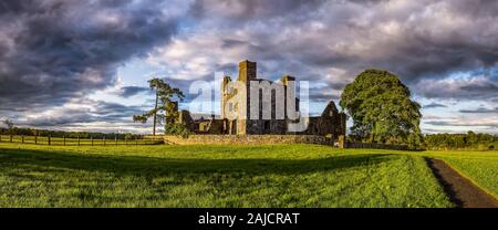 Panorama di grandi dimensioni con le rovine del XII secolo Bective Abbey con la parete circostante e grande albero verde drammatico cielo tempestoso al tramonto. Nella contea di Meath, Irlanda Foto Stock