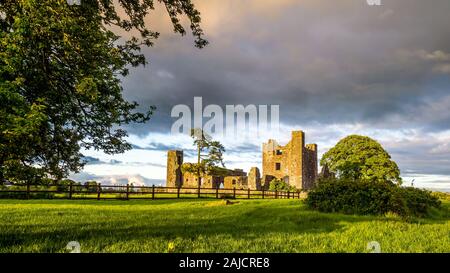 Panorama di grandi dimensioni con le rovine del XII secolo Bective Abbey con la parete circostante e grande albero verde drammatico cielo tempestoso al tramonto. Nella contea di Meath, Irlanda Foto Stock