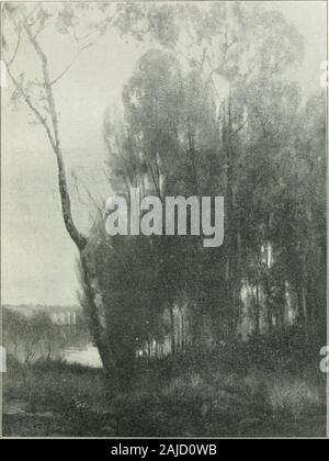 La scuola; una rivista dedicata alla educazione elementare e secondaria . ing e transfixing natura in alcuni evanescentmood di tranquillità, mistero, o pensieroso tenerezza. Scene lungo thebanks dell'Humber e il Don, sull'isola e sulla baia, oldlandmarks della città e della campagna circostante, ammirato per theirbeauty o per le loro associazioni, sono stati conservati da lui in punteggi ofsplendid dipinti a olio e pastelli. Allo stesso tempo sono in essi offrono-rappresentavano gli effetti di luce e di atmosfera per il mutare delle stagioni eil passando ore. La sensuale bellezza della notte di mezza estate, themingli Foto Stock