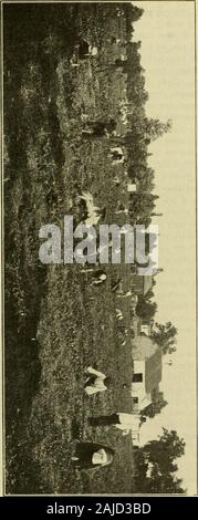 Alberi da frutta e fiori di Minnesota . Il Min-nesota State Fair, ma dopo che il tempo piovoso iniziato againand non lasciò fino a tardi in autunno. Le prugne. La prospettiva per le prugne era molto buon inizio nel mare-figlio, ma il forte vento ha rotto un buon numero degli arti offthat erano troppo caricato e le piogge crepe aperte a largenumber della frutta migliore. Alberi di prugne di fatto un enormousgrowth di legno la passata stagione. Le mele. La nostra Virginia granchi mele foro un buon raccolto di fair, butthe granchio trascendente alberi erano circa sterile. La grande applesare appena iniziando a sopportare, ma abbiamo avuto qualche f Foto Stock