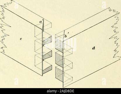 A Coda Di Rondine Cassetto Foto Stock Alamy