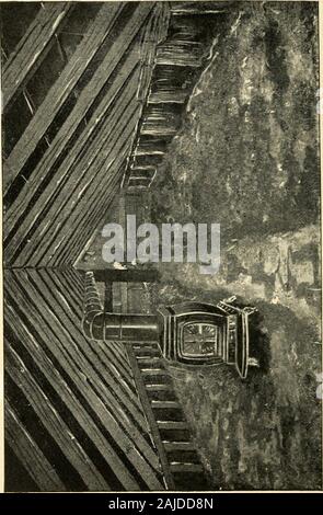 La nuova cultura di rabarbaro; una guida completa alla forzatura scuro e nel campo della cultura, come preparare ed utilizzare il rabarbaro . anding brusca climaticchanges si era venuto a grande perfezione nelle prime partedella presente secolo. Ciò è stato realizzato throughgrowing dal seme e ibridazione. Il mildand umido clima di Inghilterra lo produce in grande per-fection. La più vigorosa il clima del nostro northernlatitudes produce in abbondanza e instan-ces crescita ofluxurious in altitudini più elevate quanto southas Carolina del Nord sono registrati. Può sembrare tosay sicuro che grazie a una attenta selezione sementi e h Foto Stock