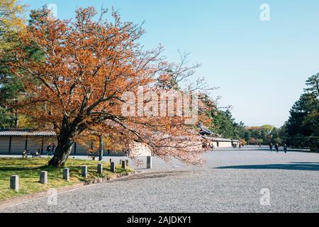 Kyoto Gyoen Giardino Nazionale a molla in Giappone Foto Stock