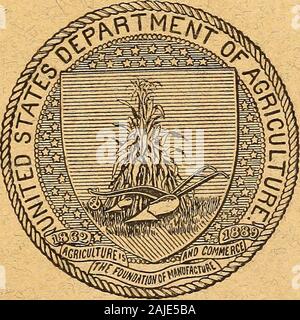 Le esportazioni di fattoria e prodotti forestali, 1902-1904, dai paesi per i quali spediti . WASHINGTON : Government Printing Office. 1905. Pubblicazioni della Divisione dei mercati esteri. essere procurato ai prezzi indicati, del Soprintendente di documenti, governo PrintingOffice, Washington, D. C] n. 1.-in Gran Bretagna e in Irlanda. Prezzo (incluso il supplemento), 10 centesimi.No. 2.-l'impero tedesco. Il prezzo di 5 centesimi.No. 3.-Francia. Il prezzo di 5 centesimi.No. 4.-Canada. Il prezzo di 5 centesimi.No. 5.-Paesi Bassi. Il prezzo di 5 centesimi.No. 6.-Belgio. Il prezzo di 5 centesimi.No. 7.-Norvegia. Il prezzo di 5 centesimi.No. 8.-Svezia. Il prezzo di 5 centesimi.n. Foto Stock
