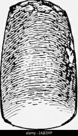 Mar Egeo archaeeology; un'introduzione all'archaeeology di epoca preistorica in Grecia . Fig. I.-nucleo di ossidiana e pietra celtCrete. British MusetC7Ji. Scala ^. Pietra e Metallo 47 (Chalandriane), e altre isole e della lowestsettlement a Phylakopi in Melos. Queste tombe eil metodo di sepoltura nel loro sarà descritto all'internodel capitolo VI. Sebbene l'ossidiana è ancora utilizzato per knivesand punte di frecce, il rame ha ora sostituito la pietra per thelarger armi. La lama metallica che potrebbe essere utilizzato o asspearhead pugnale appare-short, larghe e -:::-dJ ^^. ^f •• ^^ -, yjM -&GT; i : - ill f- r J ^?J ^ " -::! Ho •-f Foto Stock